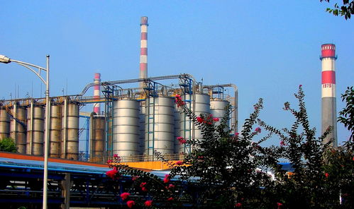 新款上線 川維化工公司pva產品完成 換裝