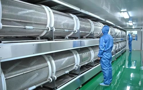 德國(guó)一化工廠(chǎng)爆炸,全球維生素價(jià)格為何暴漲4倍